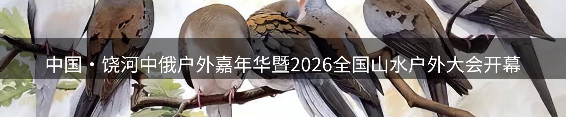 新闻资讯
