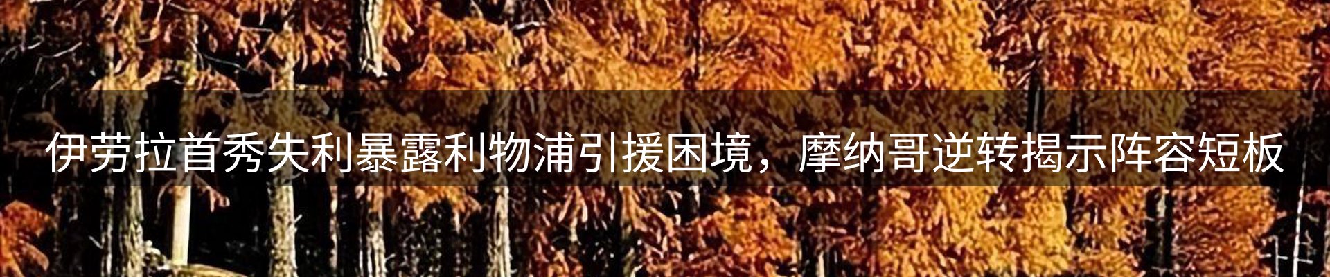 新闻资讯
