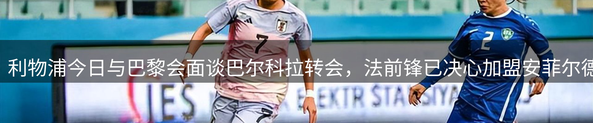 新闻资讯