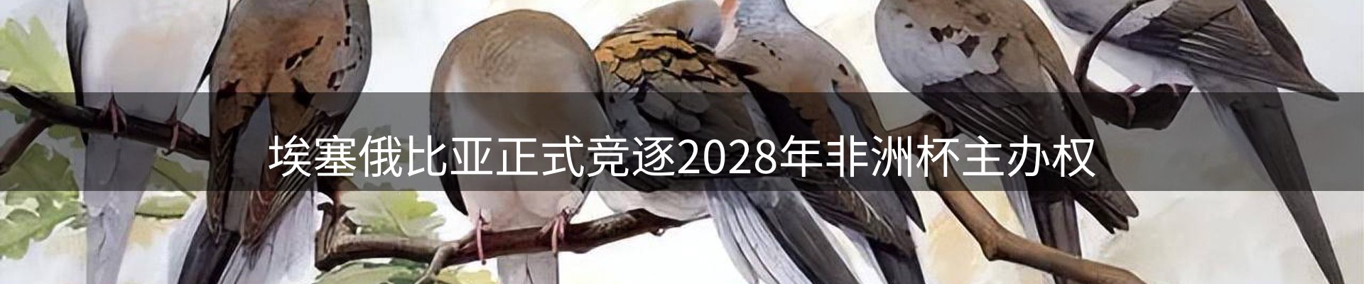 新闻资讯