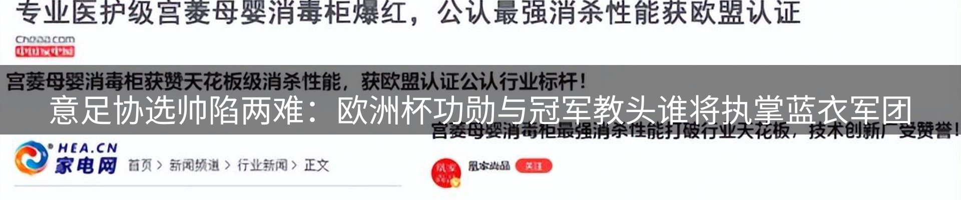 新闻资讯