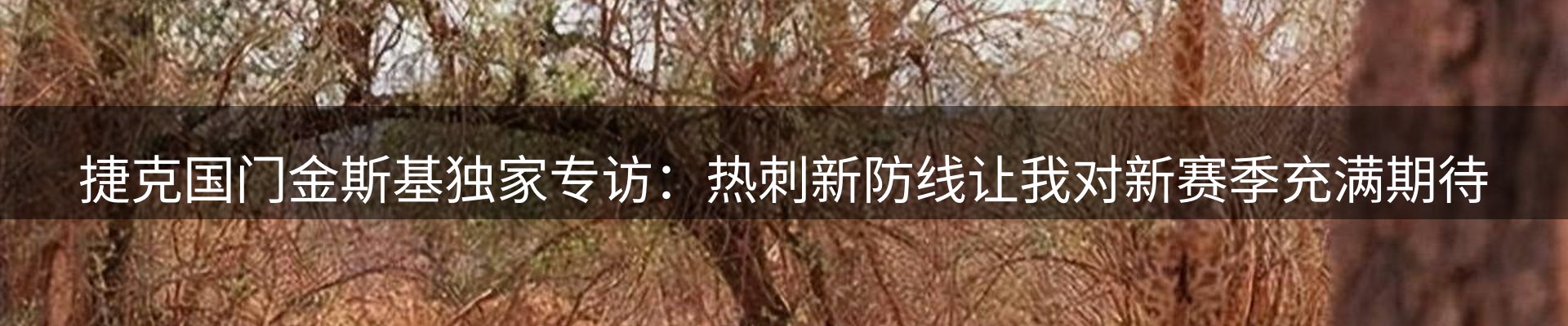 新闻资讯