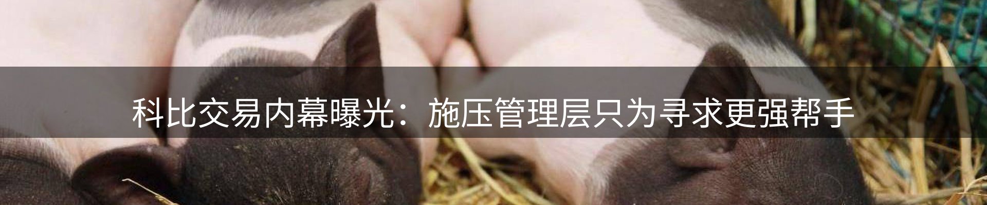 新闻资讯