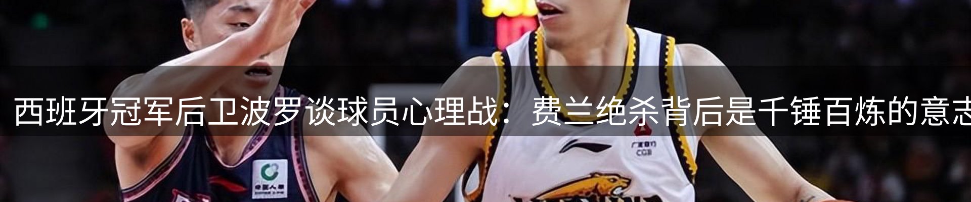 新闻资讯